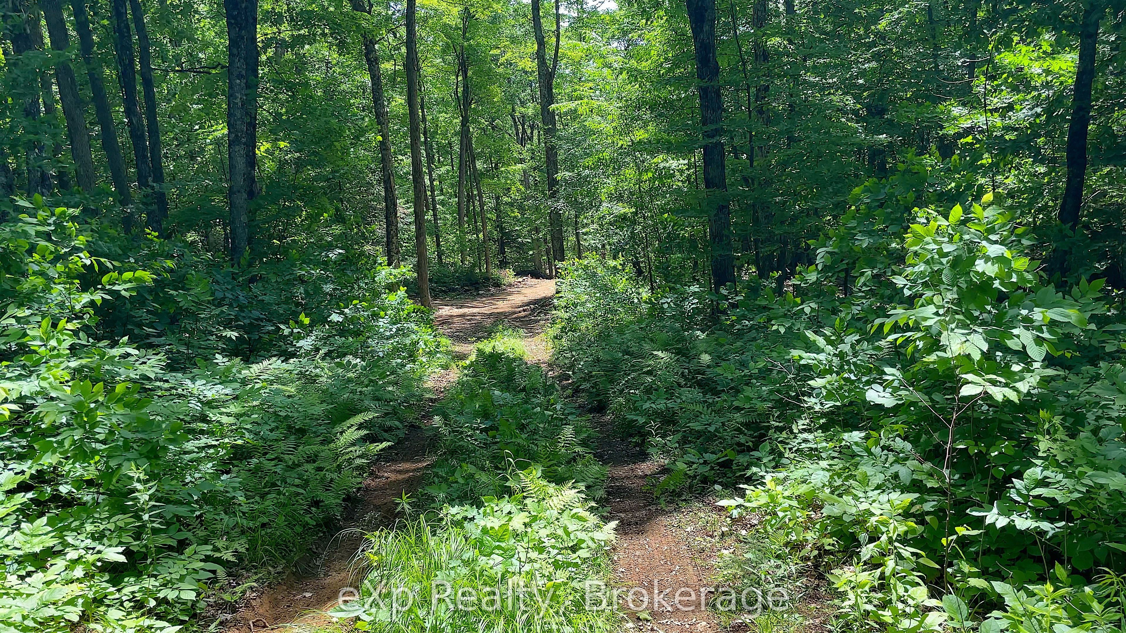 Lot 5 Gonnsen Trail
