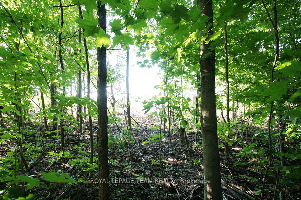 PtLt31 PLEASANT VALLEY